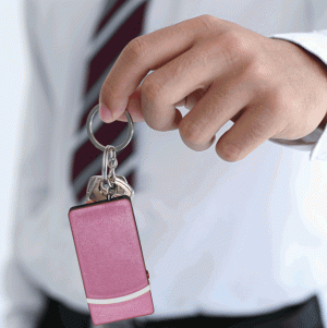 Fang Keychain Stun Gun and Flashlight with Battery Meter